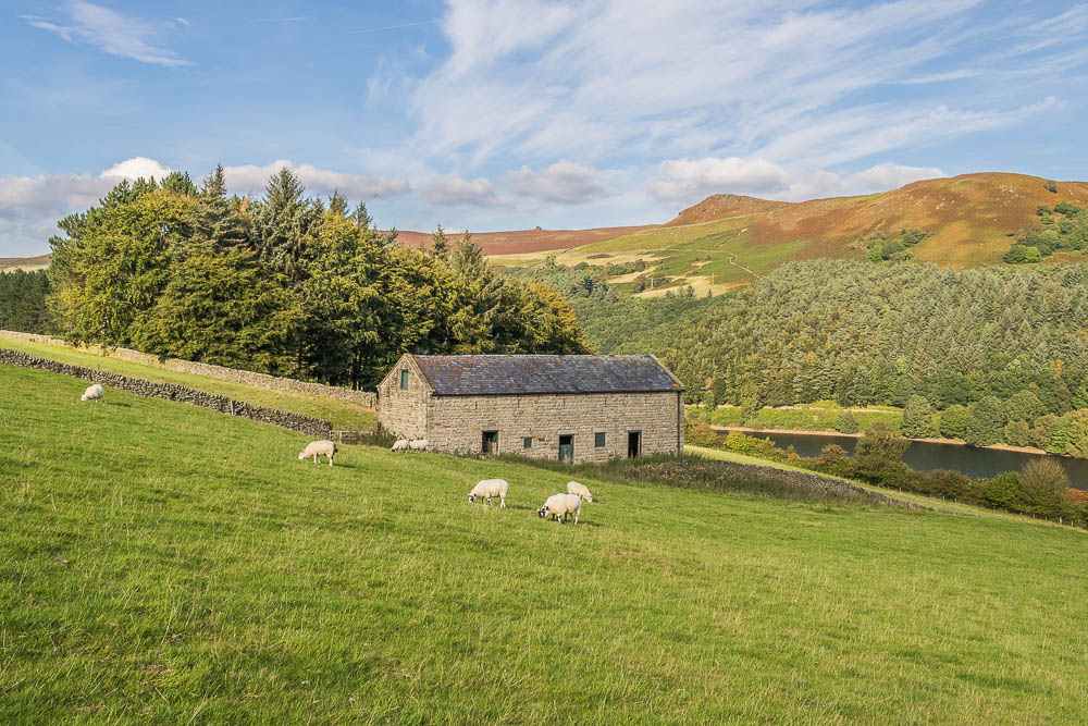 Whinstone Lee Tor